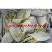 Frozen golden pompano/pomfret WR